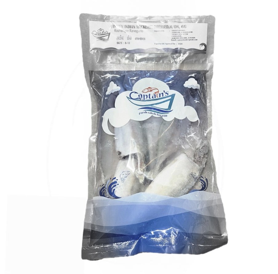Captan's Frozen Indian Mackerel Dressed 1.5 LB